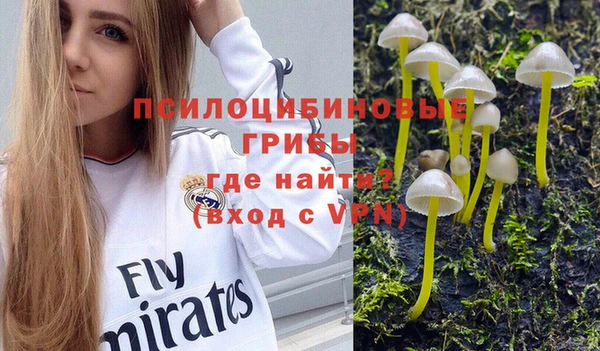 мяу мяу мука Алексин