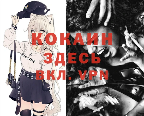 spice Михайлов