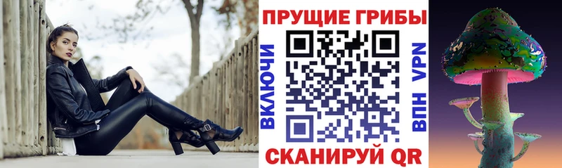 как найти наркотики  Невинномысск  Псилоцибиновые грибы мухоморы 